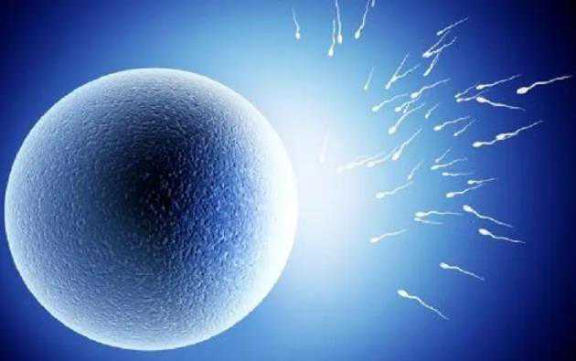 <b>海东代孕女微信,2023吉林供卵机构有哪些？靠谱的私立供卵试管医院指南</b>